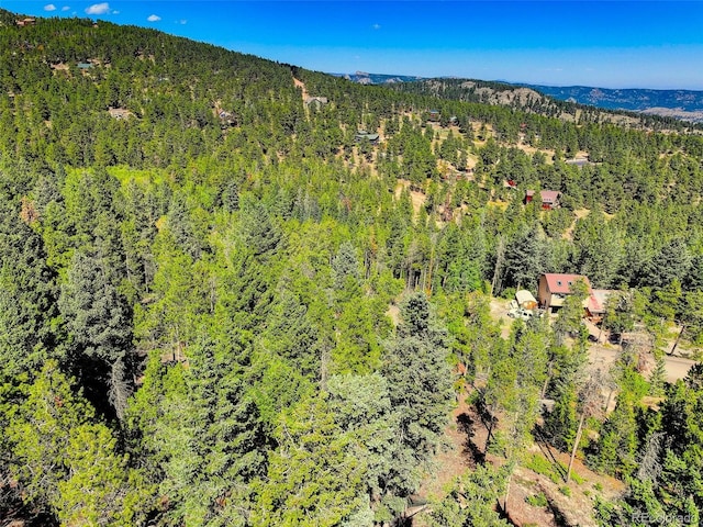 11956 Coal Creek Heights Dr, Golden, CO 80403 - photo 24