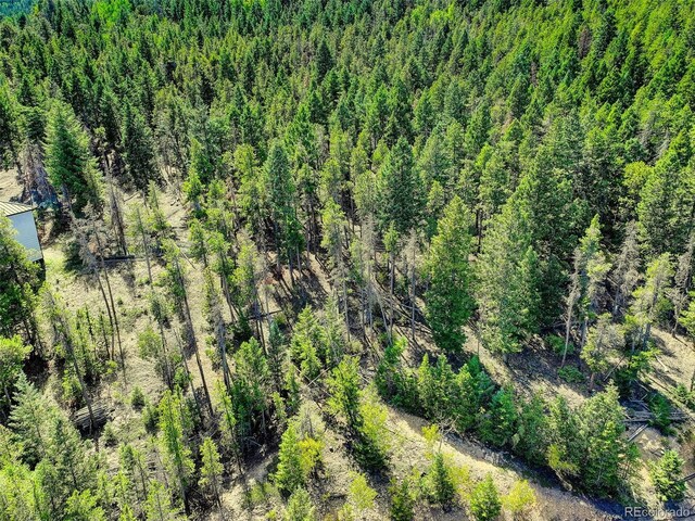 11956 Coal Creek Heights Dr, Golden, CO 80403 - photo 25