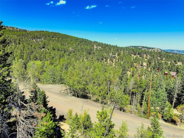 11956 Coal Creek Heights Dr, Golden, CO 80403 - photo 26