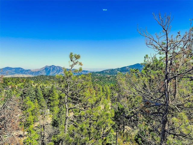 11956 Coal Creek Heights Dr, Golden, CO 80403 - photo 27