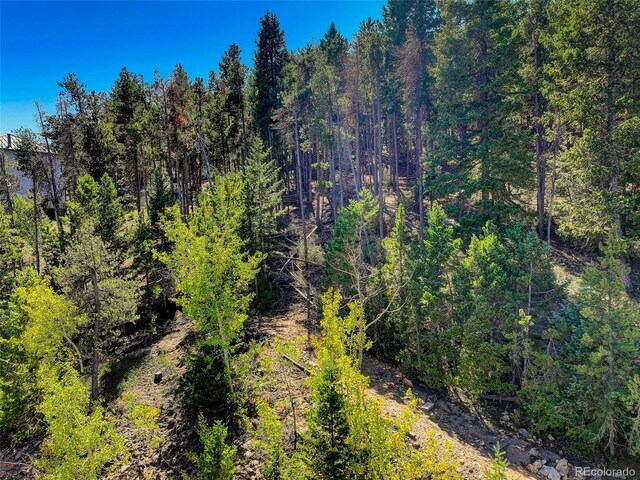 11956 Coal Creek Heights Dr, Golden, CO 80403 - photo 28