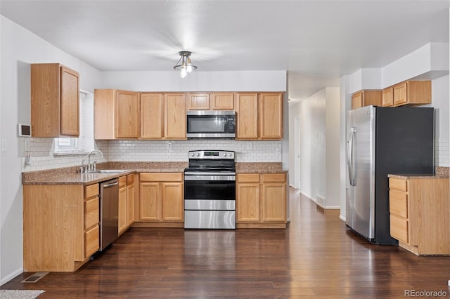 kitchen featuring backsplash, appliances with stainless steel finishes, a sink, and dark wood-type flooring