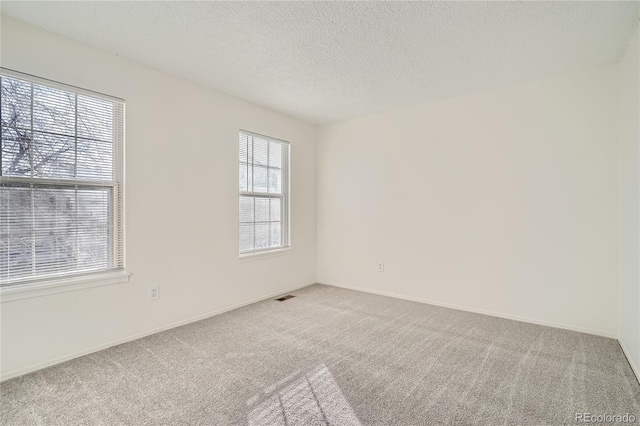 empty room with plenty of natural light, carpet floors, and a textured ceiling