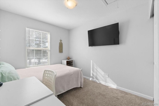 bedroom with carpet flooring