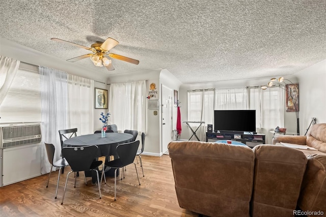 1008 22nd Avenue Ct, Greeley, CO 80631 - photo 6