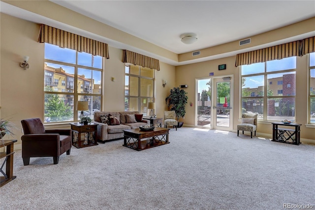9039 E Panorama Cir Unit C201, Englewood, CO 80112 - living room featuring carpet flooring