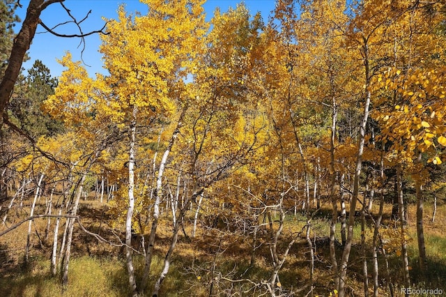 view of nature