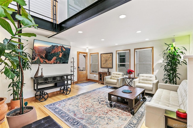 living room featuring hardwood / wood-style floors