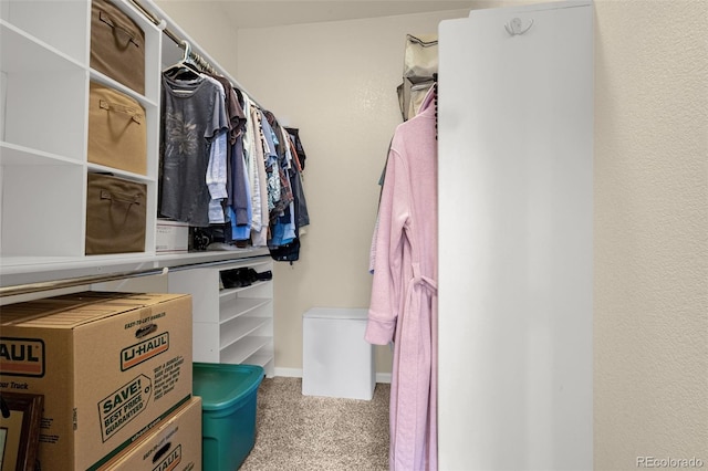 9390 W Chatfield Pl Unit 104, Littleton, CO 80128 - spacious closet with carpet flooring