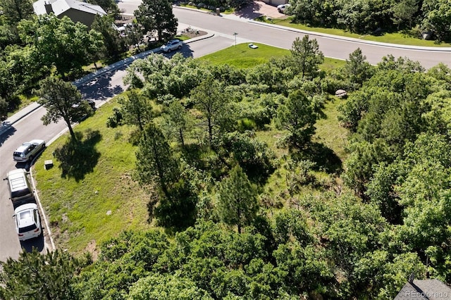 4330 Grantham Ct, Colorado Springs, CO 80906