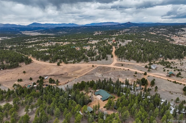birds eye view of property with a rural view and a mountain view