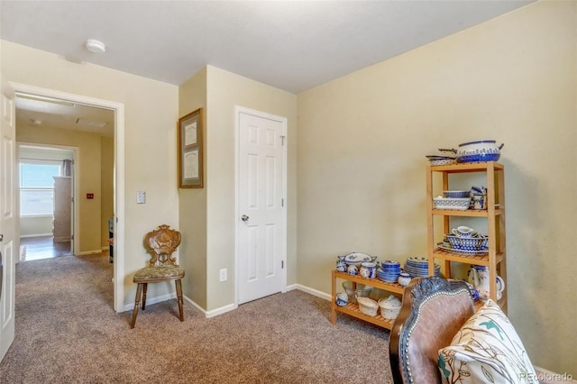 living area featuring baseboards and carpet