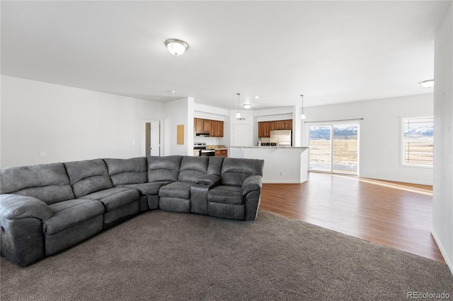 living room featuring dark hardwood / wood-style flooring