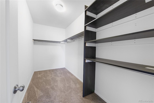 spacious closet featuring light colored carpet