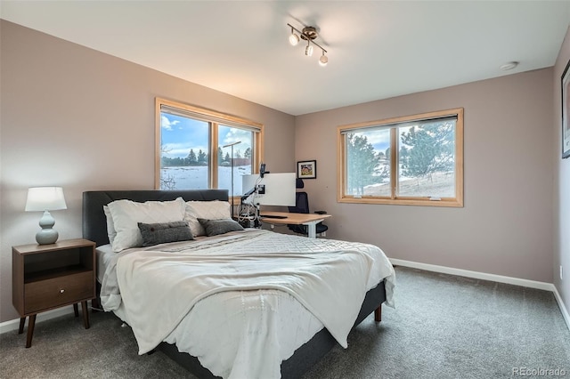 view of carpeted bedroom