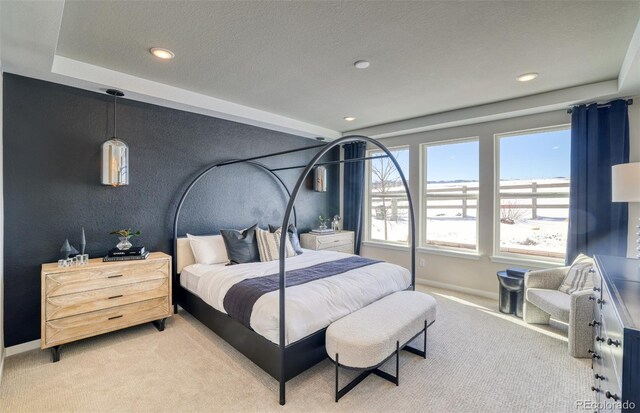 8576 Hotchkiss St, Littleton, CO 80125 - bedroom featuring light carpet, a textured ceiling, recessed lighting, and baseboards