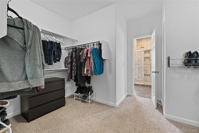 spacious closet featuring carpet