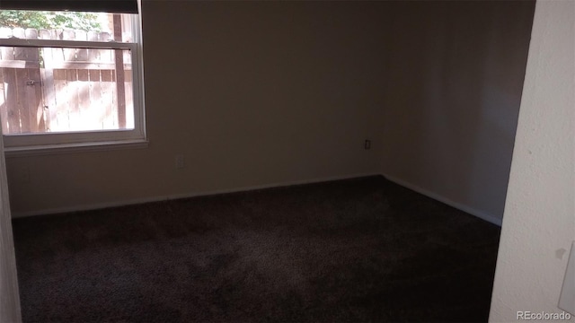 spare room with carpet flooring