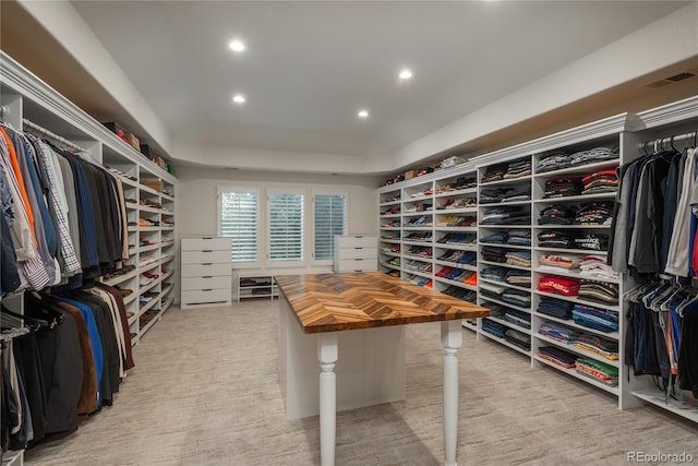 spacious closet with light colored carpet