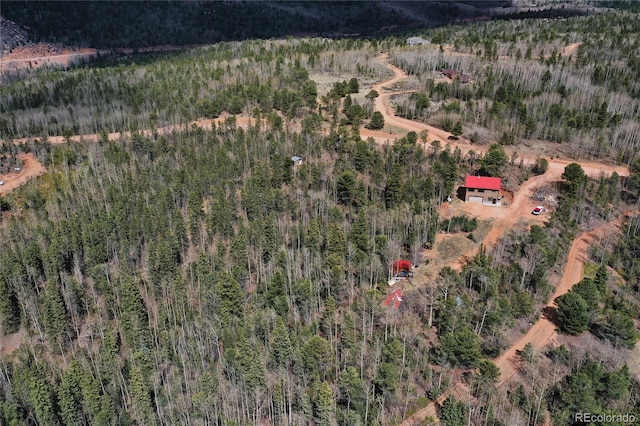 2747 County Road 61, Cripple Creek, CO 80813 - photo 34