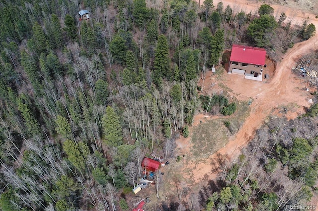 2747 County Road 61, Cripple Creek, CO 80813 - photo 35