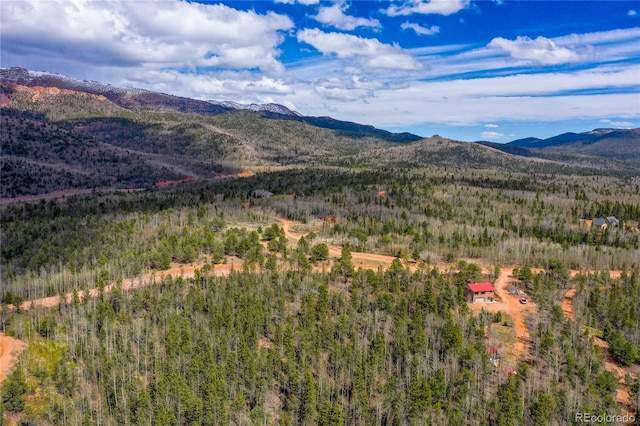 2747 County Road 61, Cripple Creek, CO 80813 - photo 36