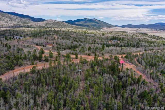 2747 County Road 61, Cripple Creek, CO 80813 - photo 37