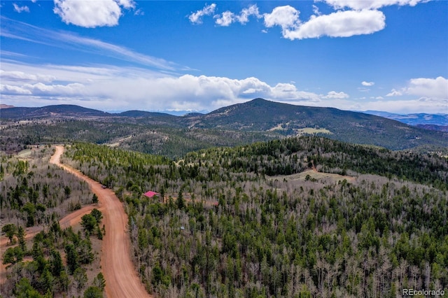 2747 County Road 61, Cripple Creek, CO 80813 - photo 38