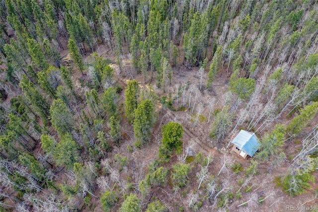 2747 County Road 61, Cripple Creek, CO 80813 - photo 40