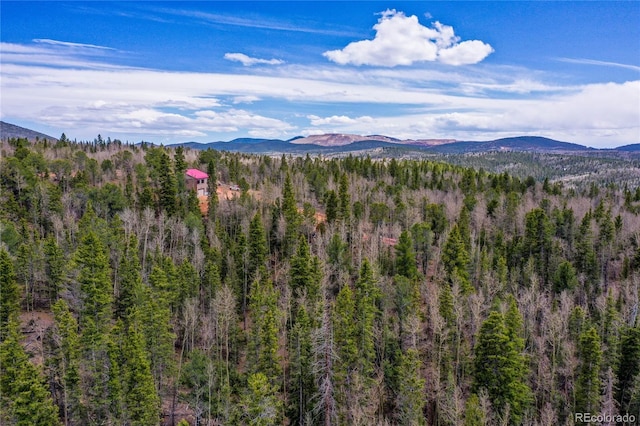 2747 County Road 61, Cripple Creek, CO 80813 - photo 41