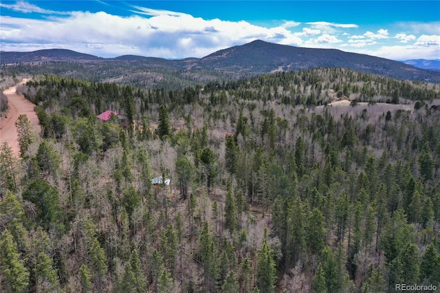 2747 County Road 61, Cripple Creek, CO 80813 - photo 43