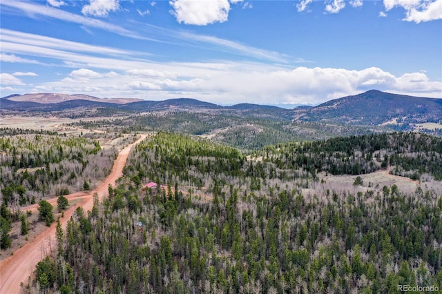 2747 County Road 61, Cripple Creek, CO 80813 - photo 44
