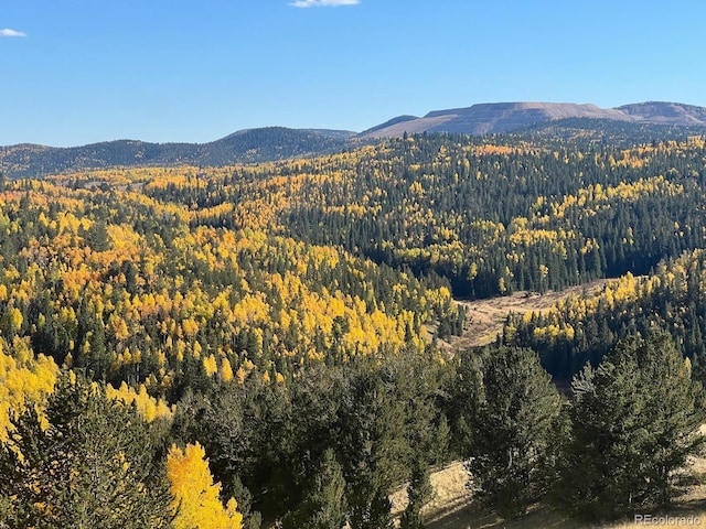 2747 County Road 61, Cripple Creek, CO 80813 - photo 45