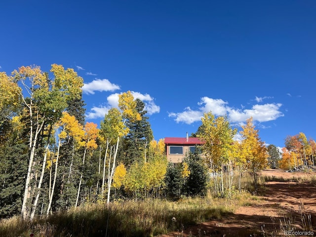 2747 County Road 61, Cripple Creek, CO 80813 - photo 46