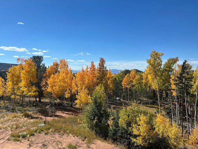 2747 County Road 61, Cripple Creek, CO 80813 - photo 47
