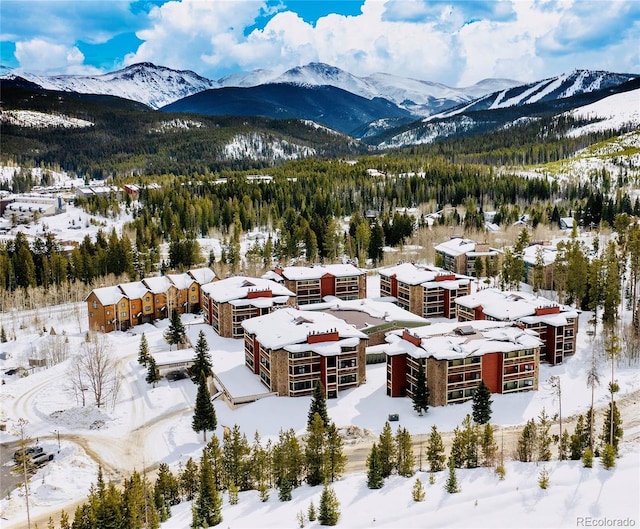 490 Kings Crossing Rd Unit 321, Winter Park, CO 80482 - photo 43