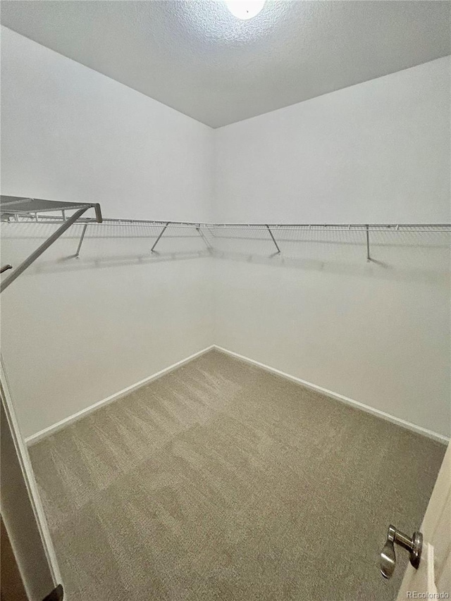 spacious closet with carpet floors