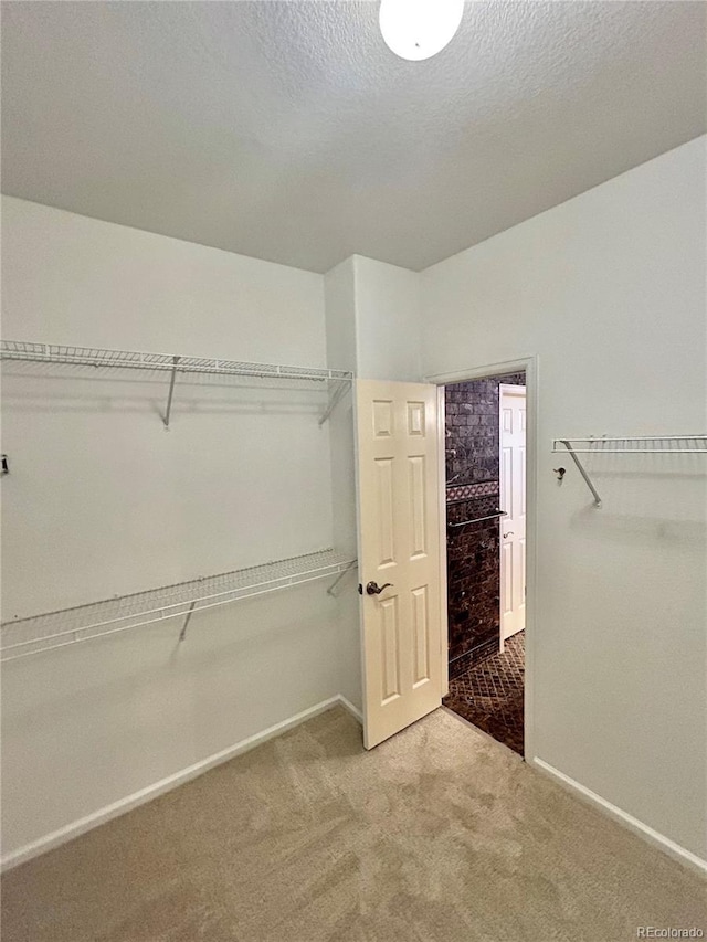 spacious closet featuring carpet flooring