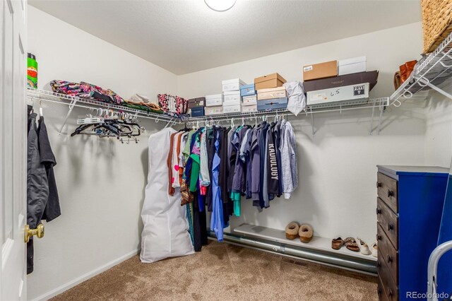 walk in closet with carpet