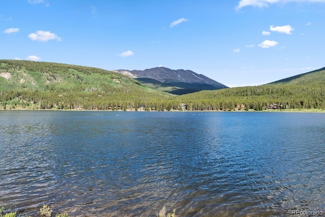 112 Grey Squirrel Ln, Breckenridge, CO 80424 - photo 9