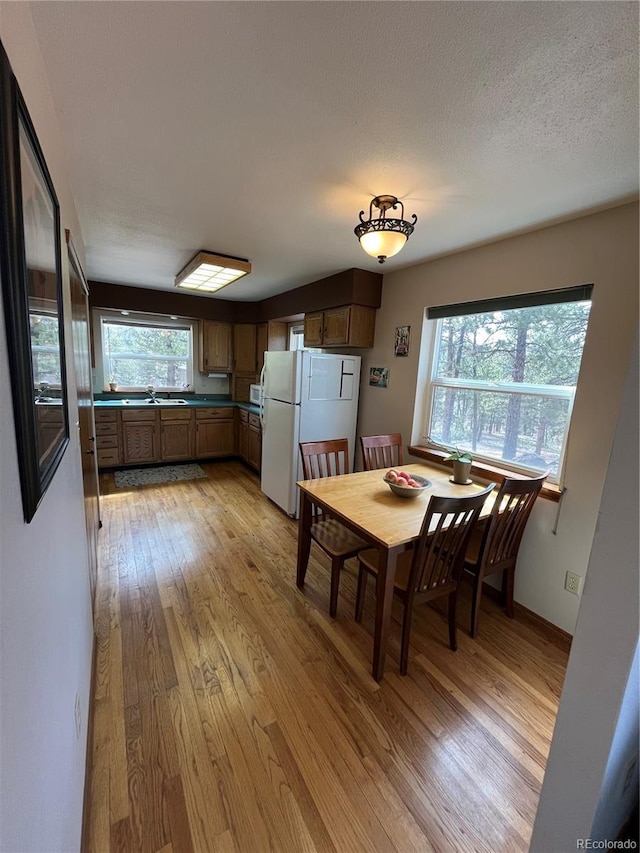 unfurnished dining area with a sink, a textured ceiling, light wood finished floors, and a wealth of natural light