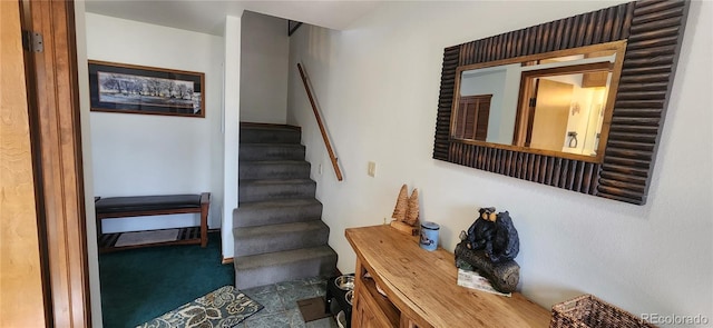 staircase with carpet