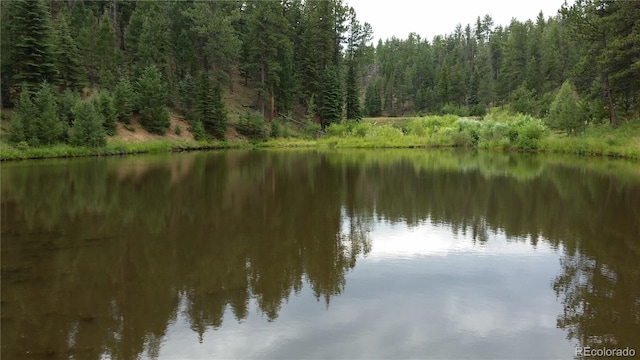 water view with a view of trees