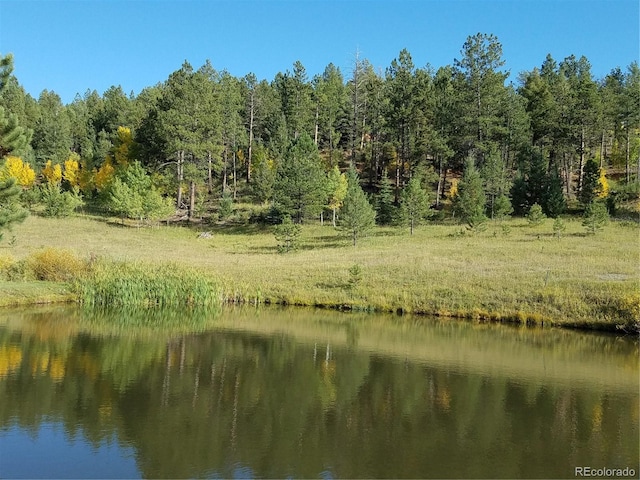 property view of water with a wooded view