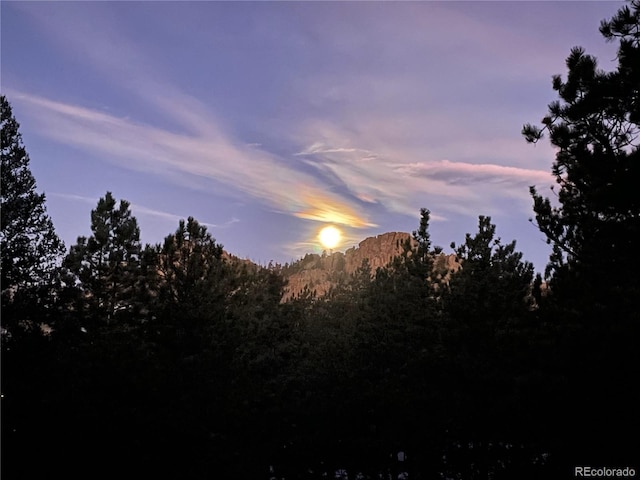 view of local wilderness