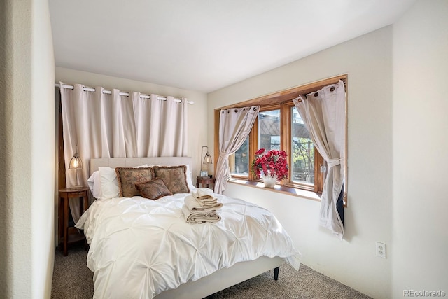 1575 York Gulch Rd, Idaho Springs, CO 80452 - bedroom with carpet