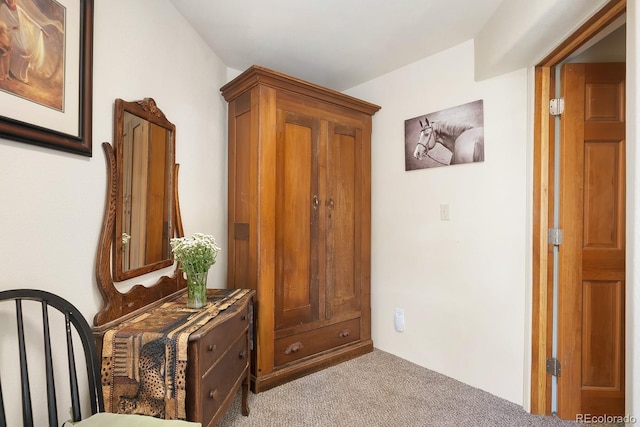 1575 York Gulch Rd, Idaho Springs, CO 80452 - corridor with carpet
