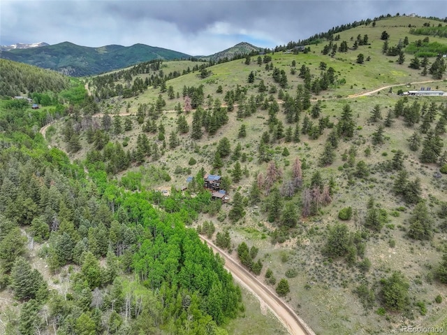1575 York Gulch Rd, Idaho Springs, CO 80452 - view of mountain background