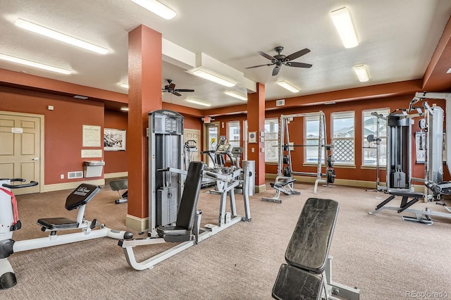 7292 S Blackhawk St Unit 2-204, Englewood, CO 80112 - workout area with a ceiling fan, carpet flooring, and baseboards