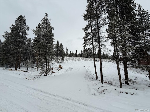 123 Birch Dr, Twin Lakes CO, 81251 land for sale